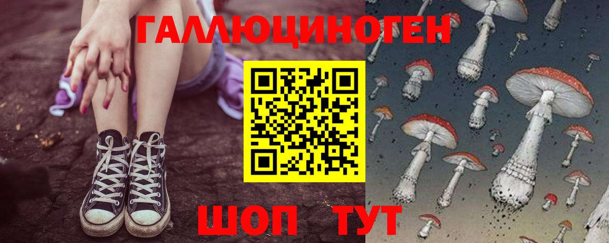 Псилоцибиновые грибы Magic Shrooms  Вход с VPN  Псилоцибиновые грибы Psilocybe  Котовск 